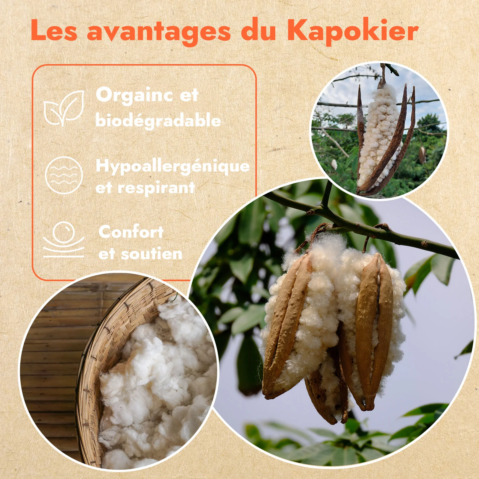Oreiller kapok 100% naturel, ergonomique, organique - Collection Kapok - Image 11